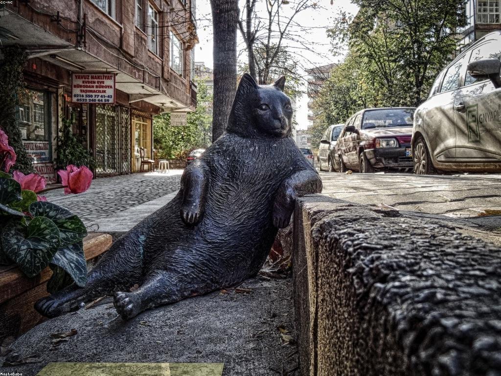 ឱកាសឈ្នះ: ជំហានដំបូងសម្រាប់ភាពជោគជ័យ